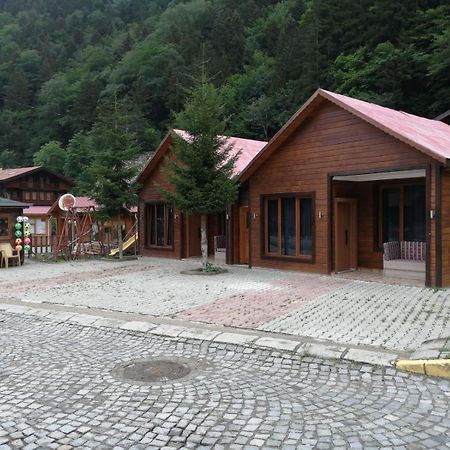 Zeren Apart Bungalov Uzungol Exterior foto